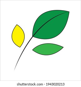 Leaf vector. Different shapes and colors of leaves, perfect for illustration, and various arts.