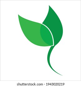 Leaf vector. Different shapes and colors of leaves, perfect for illustration, and various arts.