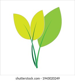 Leaf vector. Different shapes and colors of leaves, perfect for illustration, and various arts.