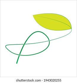 Leaf vector. Different shapes and colors of leaves, perfect for illustration, and various arts.