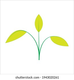 Leaf vector. Different shapes and colors of leaves, perfect for illustration, and various arts.