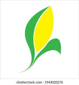 Leaf vector. Different shapes and colors of leaves, perfect for illustration, and various arts.