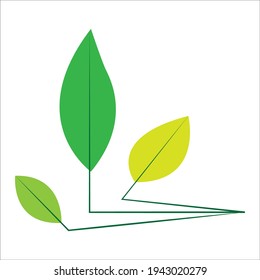 Vector de hoja. Diferentes formas y colores de hojas, perfectas para la ilustración, y diversas artes.