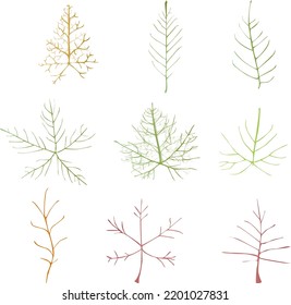 Leaf vector doodle botanical illustration set. Autumn leaves. Colorful vector illustration isolated on white background.