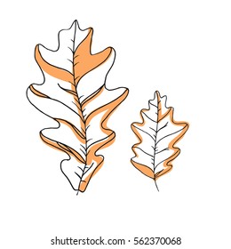 Leaf vector drawing set. Isolated tree leaves. Herbal engraved style illustration. Organic product sketch. Hand drawn leaf