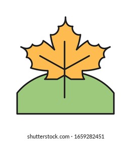 leaf vector flat color icon 