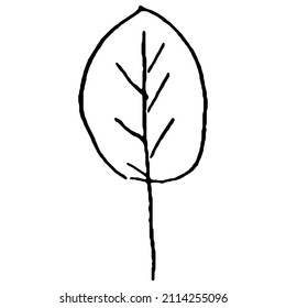 Leaf vector, flora, linear style black contour, hand drawn black leaf. Decorative beauty elegant illustration for design.