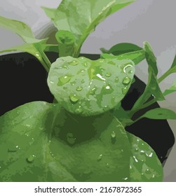 Leaf vector. Fresh leaf with water droplets vector.