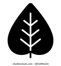 leaf vector glyph icon. Modern glyph symbols. Collection of traditional elements.