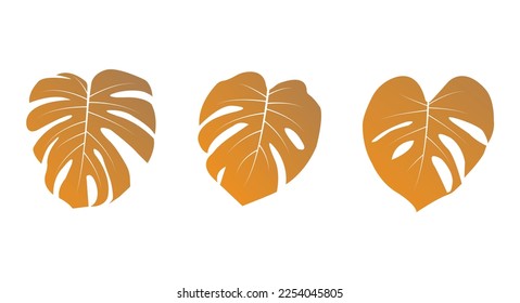 Leaf vector graphic design and illustration.