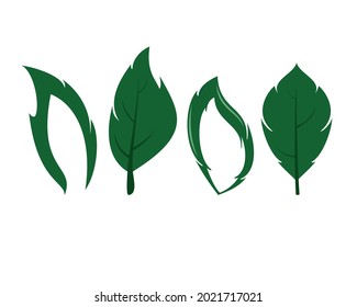 Leaf Vector with green color and still fresh