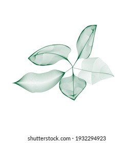 Leaf Vector. green Colorful logo