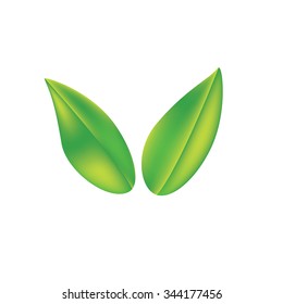 leaf vector green icon leaves illustration nature art concept eco