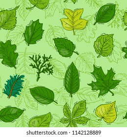 Leaf vector green leaves of trees leafed oak and leafy maple or leafing foliage illustration of leafage in spring set with leafage seamless pattern background