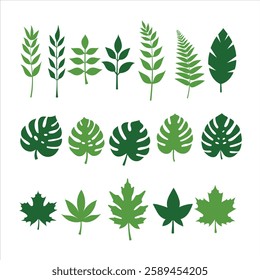  Leaf vector green plant, Set of Green Tropical and Botanical Leaves Vector Illustration on white Background.