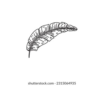 ilustración de hoja vectorial dibujada a mano