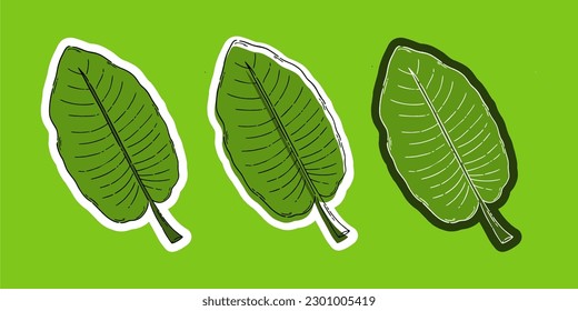 vector hoja dibujado a mano. símbolo de pegatinas de hoja. vector de conjunto de naturaleza. 