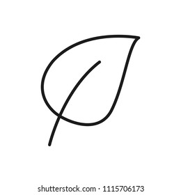 leaf vector icon