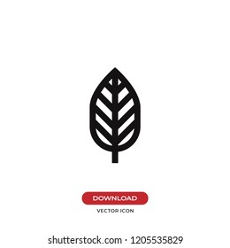 Leaf vector icon