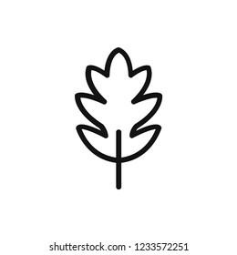 Leaf vector icon