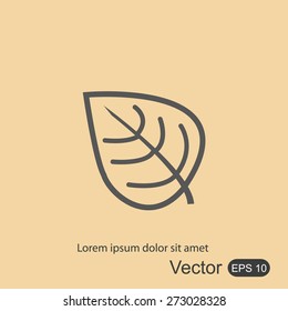 Leaf  vector icon