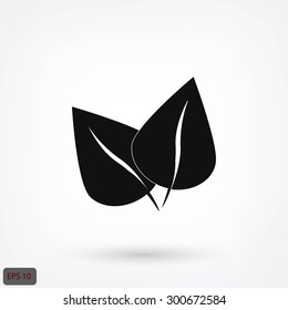 	leaf vector icon