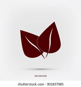 	leaf vector icon