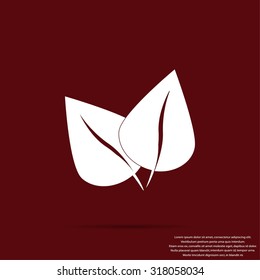 leaf vector icon