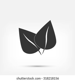 	leaf vector icon