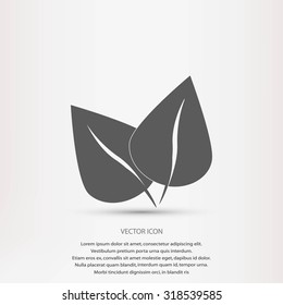 leaf vector icon