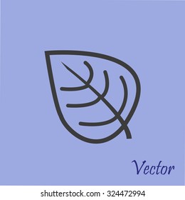 Leaf  vector icon