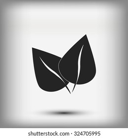 	leaf vector icon