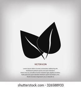 	leaf vector icon