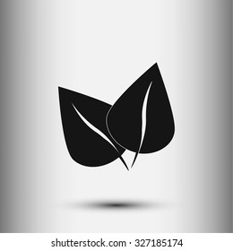 leaf vector icon