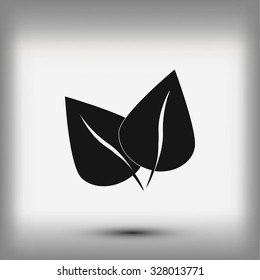 	leaf vector icon