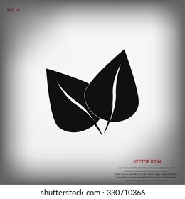 	leaf vector icon