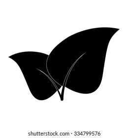 leaf vector icon