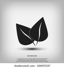 	leaf vector icon