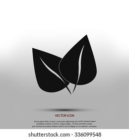 leaf vector icon