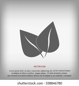 	leaf vector icon