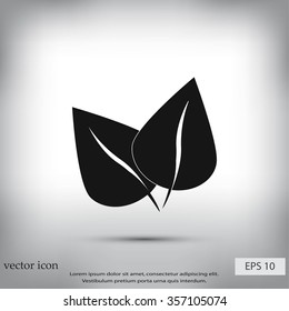 	leaf vector icon