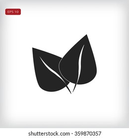 	leaf vector icon