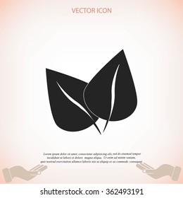 	leaf vector icon
