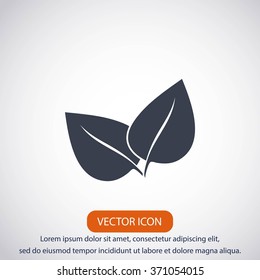 	leaf vector icon