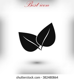 	leaf vector icon