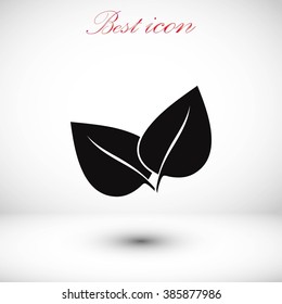 leaf vector icon