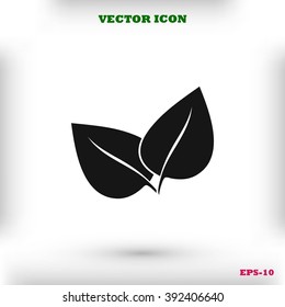 	leaf vector icon
