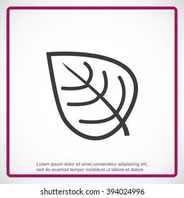 Leaf  vector icon