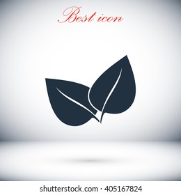 	leaf vector icon