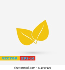 	leaf vector icon